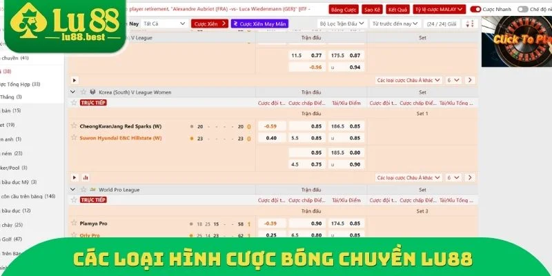 Các loại hình cược bóng chuyền LU88