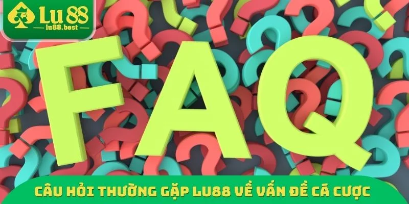 Câu hỏi thường gặp LU88 về vấn đề cá cược